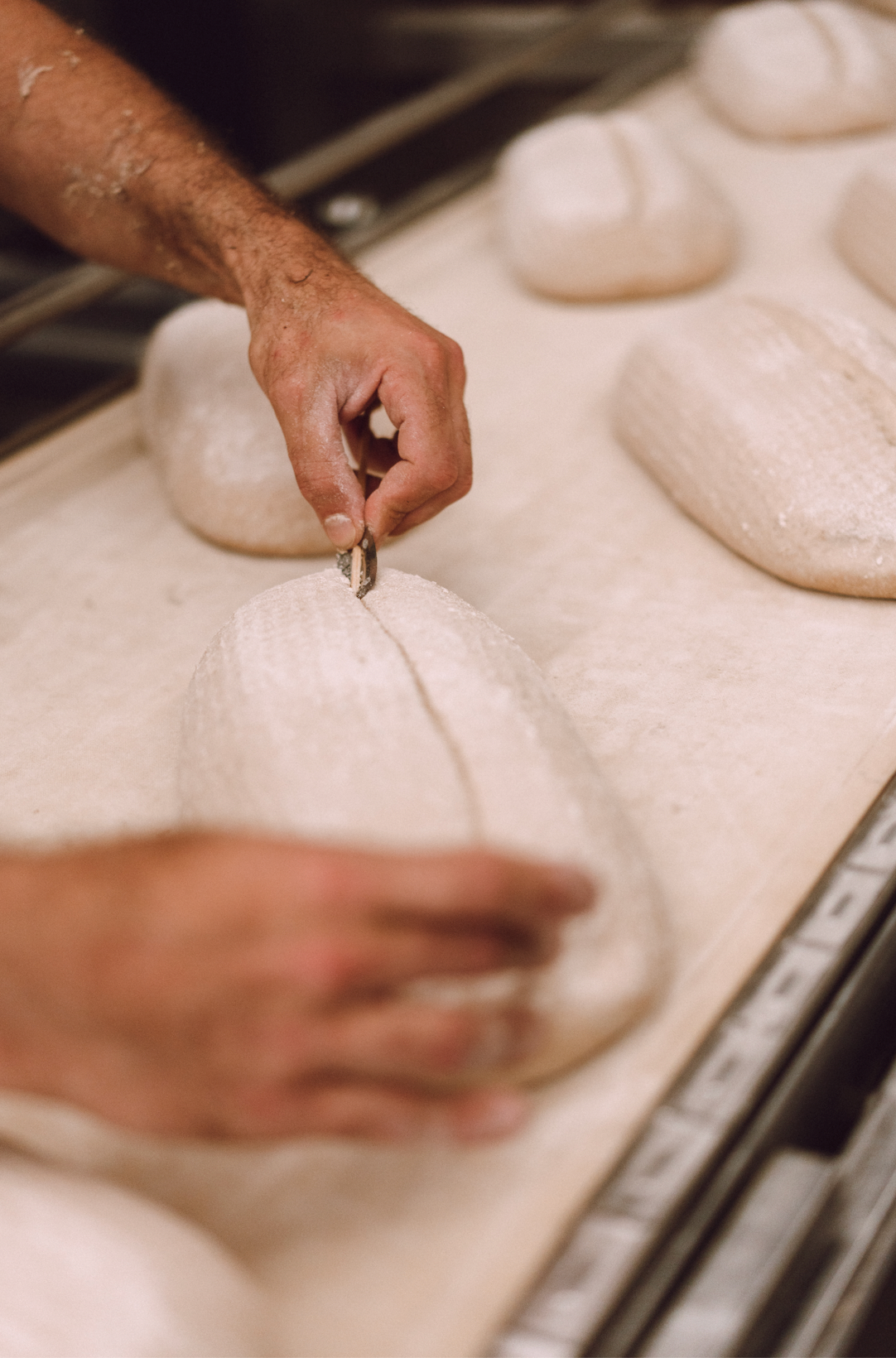 Workshop Desembrood +/-3 uur NL